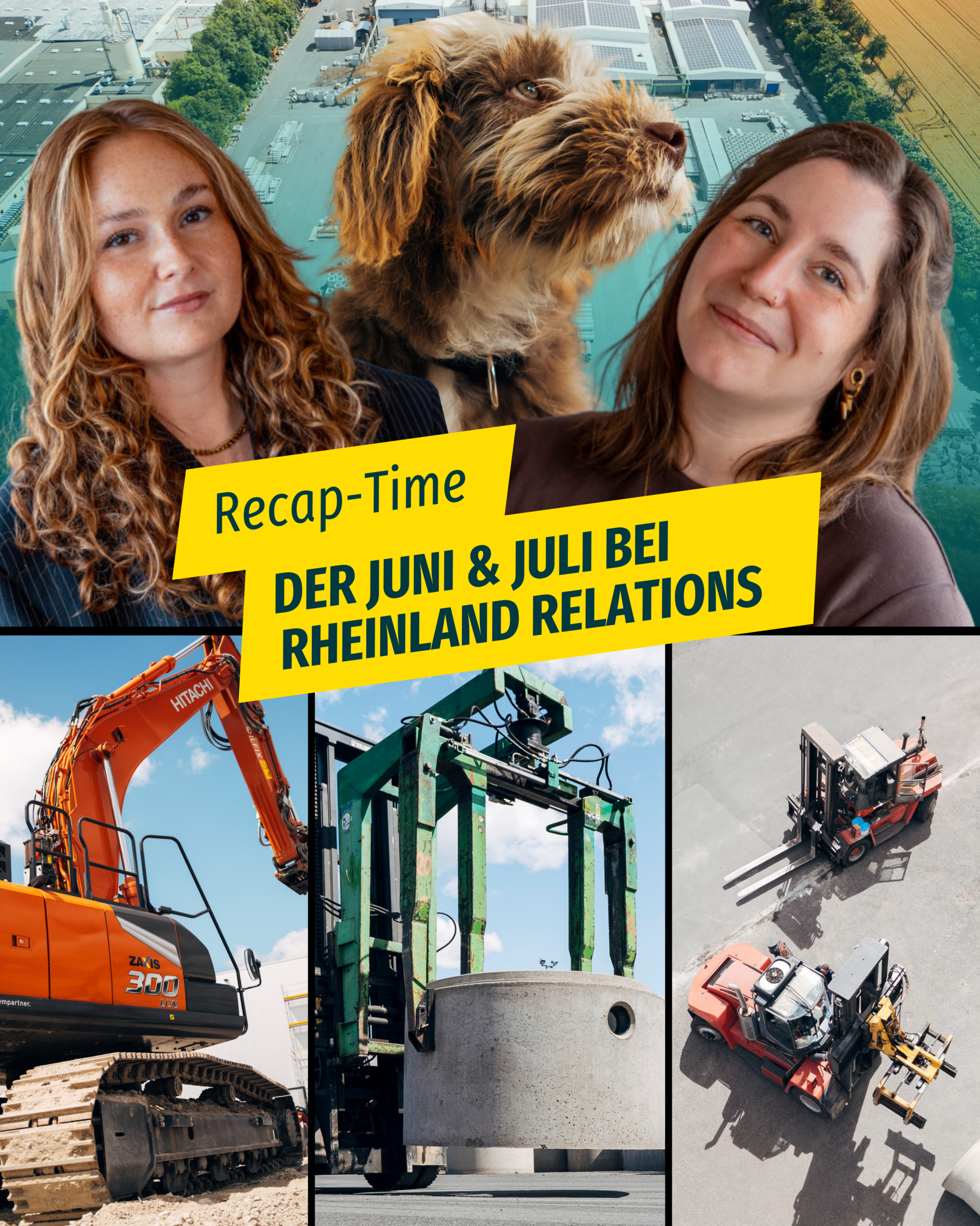 Juni- & Juli-Recap: Zwei Monate, zwei neue Gesichter – und eine Fellnase